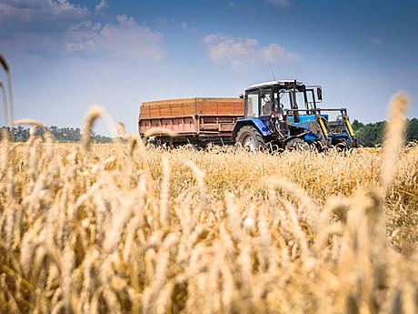 Огляд агропромислового сектору України: вплив війни, ситуація з посівною, експортом, прогноз на 2023