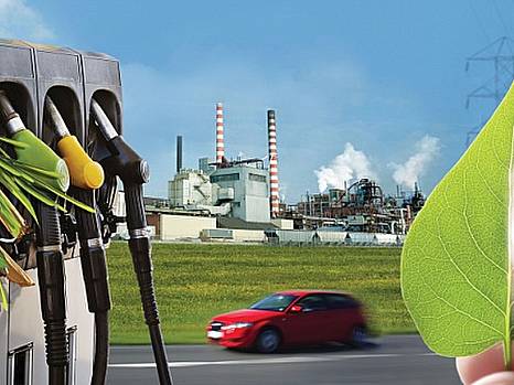 УСПП выпустил ролик о перспективах украинской биоэнергетики