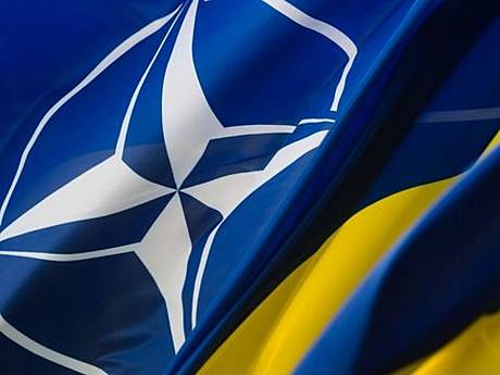 Вступление в НАТО - не самоцель, а формирование современных мировых стандартов на нашей земле