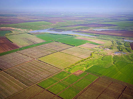 Не комплексная земельная реформа рискует захлебнуться в различных схемах