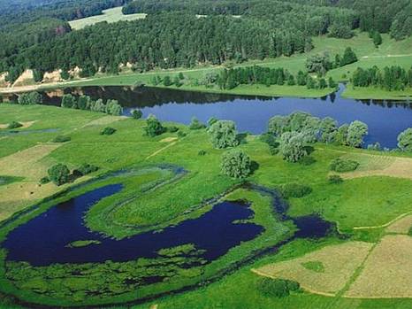 Необходима безотлагательная перезагрузка природоохранных реформ (обращение)