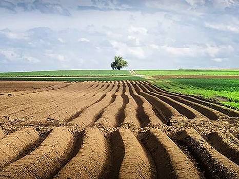 Земельная реформа не завершена, многие вопросы остаются нераскрытыми – А. Кинах