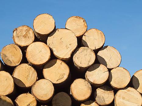 Внимание представителей лесной, деревообрабатывающей и целлюлозно-бумажной промышленности