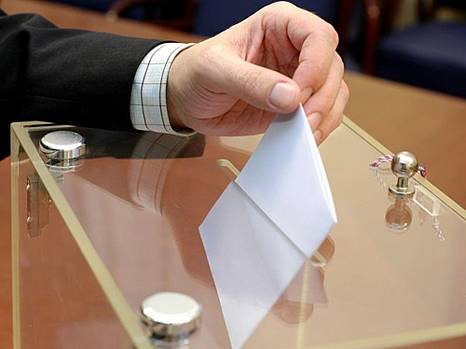 Процедура выборов директора института должна быть демократичной