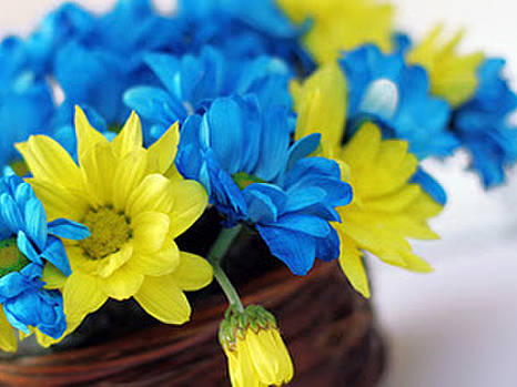 С Днем предпринимателя!