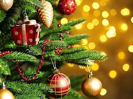 Поздравляем с новогодними и рождественскими праздниками!