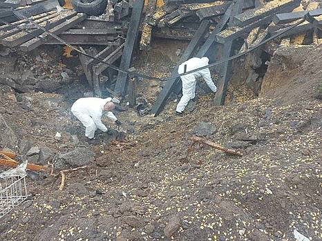 Российские ракеты в Польше: каким будет ответ НАТО?