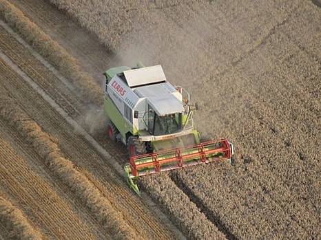 Украина является одним из гарантов мировой продовольственной безопасности: почему помочь нашей скорейшей победе есть в интересах международного сообщества