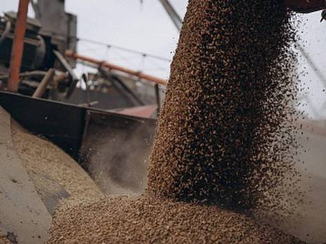 Промышленники требуют от правительства стимулировать переработку ввиду блокады агрессором портов и продления запрета импорта зерна в страны ЕС