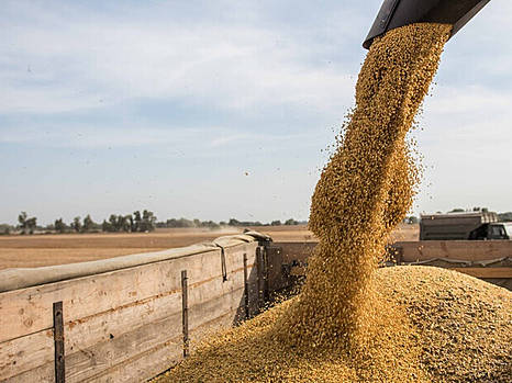 Украина должна договариваться с Еврокомиссией о гарантиях непродления действия временного запрета на импорт с/х продукции в 5 стран ЕС