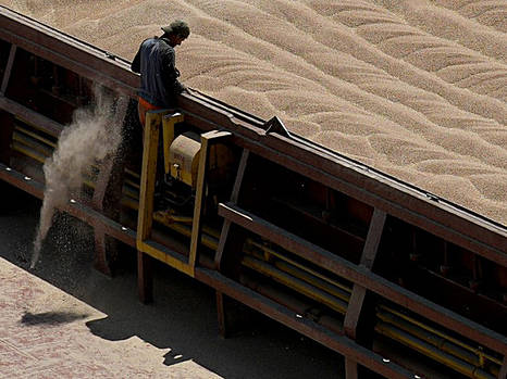 Протесты против украинского зерна в ряде стран ЕС являются реакцией на мировое снижение цен - УСПП