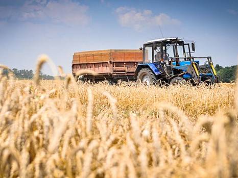 Украина теряет $200 млрд ежегодно из-за сырьевого характера АПК