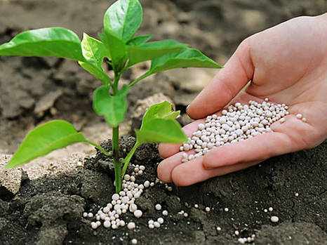 Посевная под угрозой: аграриям недоступны удобрения - УСПП