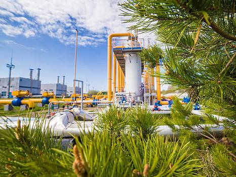 Изучение мнения бизнеса об эко-индустриальных парках в Украине