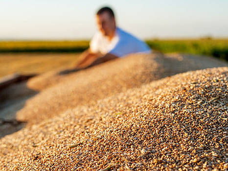 В 2023 году Украина будет иметь 20 млн. тонн зерна для экспорта из нового урожая
