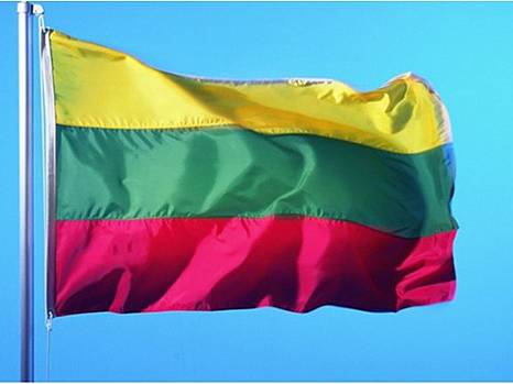 Украинская делегация встретится с президентом Литвы