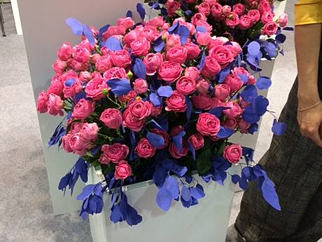 Снова расцвела FlowerExpoUkraine